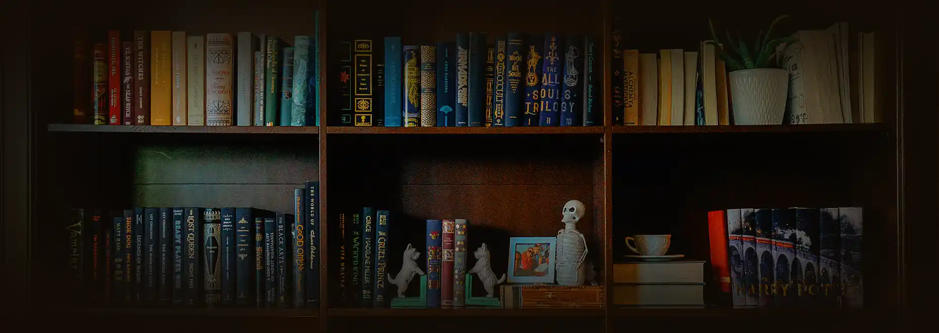 Welcome to American Books Wizard